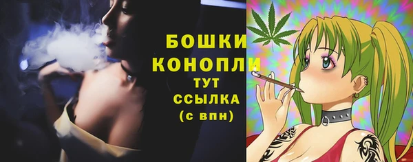 сатива Нягань