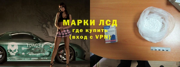 ПСИЛОЦИБИНОВЫЕ ГРИБЫ Няндома