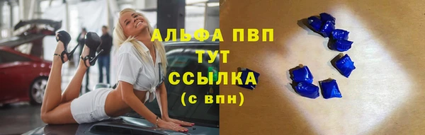 сатива Нягань