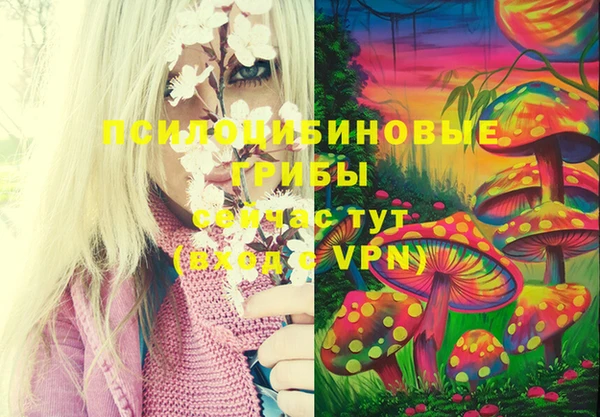 ПСИЛОЦИБИНОВЫЕ ГРИБЫ Няндома
