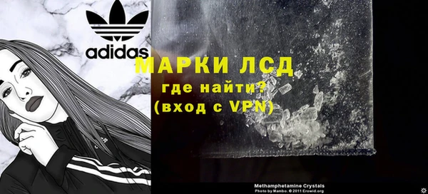 ПСИЛОЦИБИНОВЫЕ ГРИБЫ Няндома