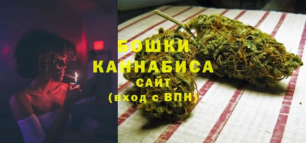 ПСИЛОЦИБИНОВЫЕ ГРИБЫ Няндома