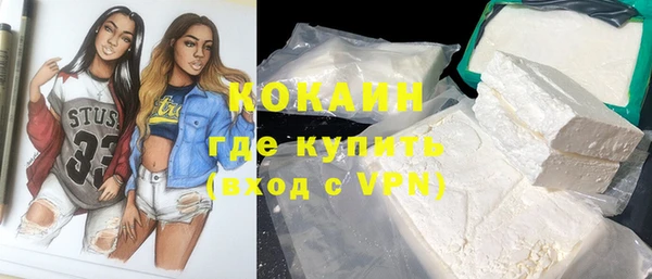 ПСИЛОЦИБИНОВЫЕ ГРИБЫ Няндома