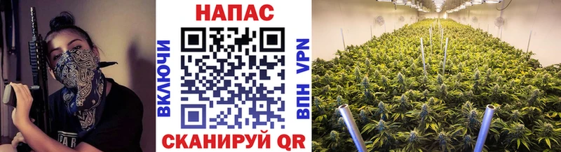 Купить  Славянск-на-Кубани  Каннабис White Widow 